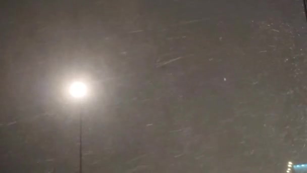 在街灯的灯光下飘雪的动态视频 季节性的暴风雪 暴风雪 — 图库视频影像