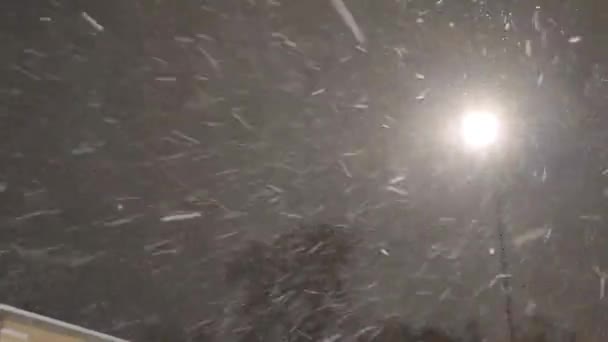 Vídeo Dinámico Nieve Cayendo Luz Una Farola Tormenta Nieve Estacional — Vídeos de Stock