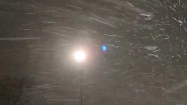 街灯の光の中で雪が降るダイナミックなビデオ 季節の雪嵐 街の通りで夜のクリスマス雪 強い風雪 冬の雪 — ストック動画
