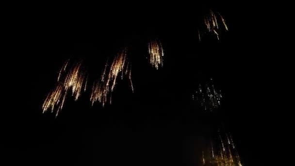 Bunte Lichter Von Echten Festlichen Feuerwerk Den Nachthimmel Kopie Space — Stockvideo