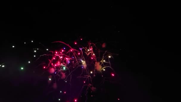 Lumières Colorées Véritables Feux Artifice Festifs Dans Ciel Nocturne Copie — Video