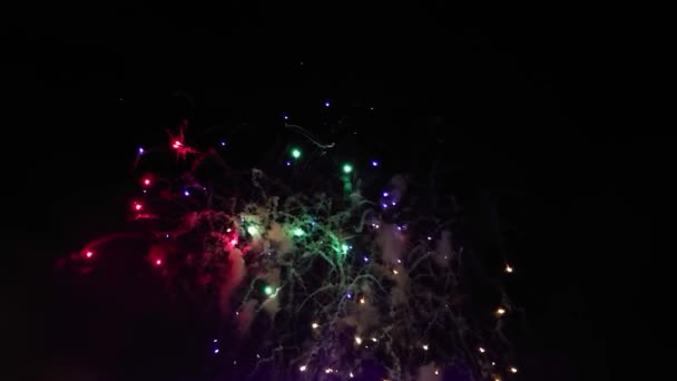 五彩缤纷的彩灯在夜空中燃放着真正的节日烟火 复制着空间 新年快乐 爆炸带来的明亮灯光 美丽的背景 — 图库视频影像