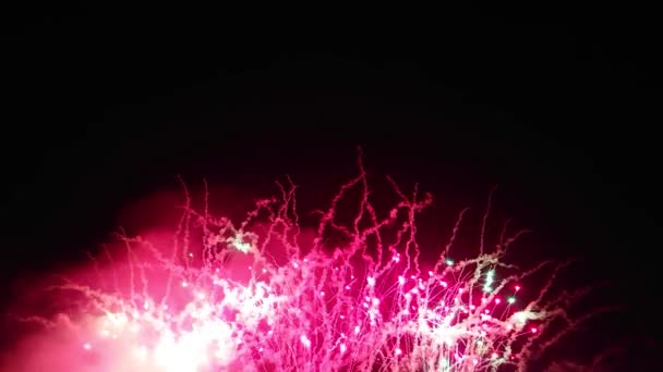 Luces Coloridas Fuegos Artificiales Festivos Reales Cielo Nocturno Espacio Copia — Vídeo de stock