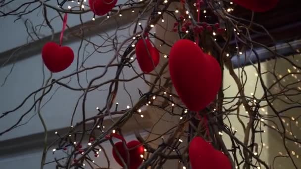 Close Red Velvet Hearts Willow Branches Garland Lanterns Festive Decor — Video Stock