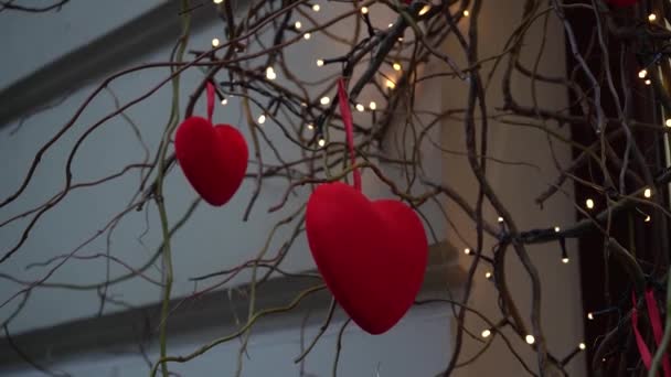 Close Red Velvet Hearts Willow Branches Garland Lanterns Festive Decor — ストック動画