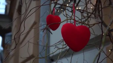 Close-up of red velvet hearts on willow branches among garland of lanterns,festive decor for Valentine's Day.Beautifully decorated shop window in the city.Cityscape, hearts in snow. Slow motion 4K