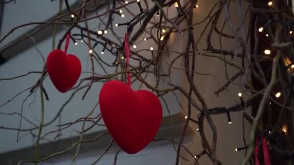 Close Red Velvet Hearts Willow Branches Garland Lanterns Festive Decor — ストック動画