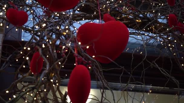 在灯笼的花环中 在柳枝上的红色天鹅绒心形的特写 情人节的节日装饰 城市装饰精美的商店橱窗 城市景观 雪中的心 慢动作4K — 图库视频影像