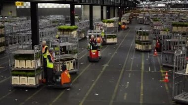 Hollanda, Aalsmeer 'deki büyük çiçek müzayedesi deposu 03.31.2023. Depo çalışanları, depoların etrafındaki kamyon ve kamyonlarla toptan çiçek alıcıları için sipariş veriyor..
