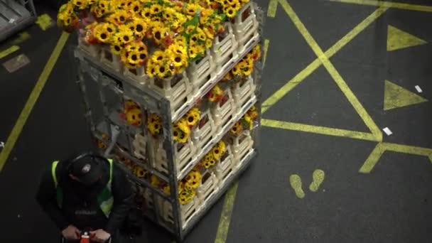Ogromny Magazyn Aukcyjny Kwiatów Aalsmeer Holandia 2023 Pracownicy Magazynu Dostarczają — Wideo stockowe