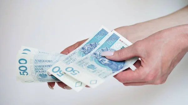 Збільшення Кількості Жіночих Рук Рахуючи Гроші Зарплату Злотих Польську Течію Стокове Зображення