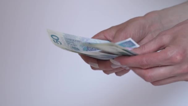 Close Dari Perempuan Tangan Menghitung Uang Gaji Zlotys Polandia Arus — Stok Video