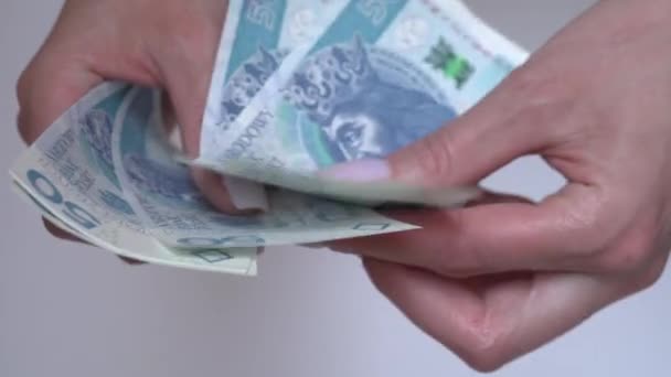 Primer Plano Las Manos Femeninas Contando Dinero Salario Zlotys Moneda — Vídeos de Stock
