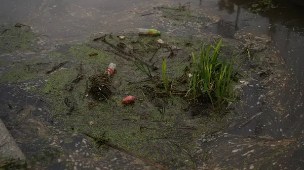 汚れた都市の川 貯水池 水の中のプラスチックびん 人間による汚染の概念 貯水池の産業 環境災害 鳥や動物の死 茶色水 — ストック写真