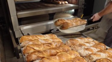 Fransız hamur işleri üreten küçük bir fırın. Fırıncı fırından taze pişmiş sıcak ekmeği çıkarır. Fırın ürünleri üretimi. Geleneksel Fransız ekmeği..