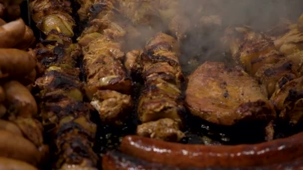 Close Cozinhar Kebab Carne Salsichas Bife Grelha Uma Fogueira Noite — Vídeo de Stock