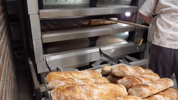 生产法国糕点的手工小面包店 面包师把刚烤好的热面包从烤箱里取出来 生产烘焙产品 传统的法国面包 — 图库视频影像