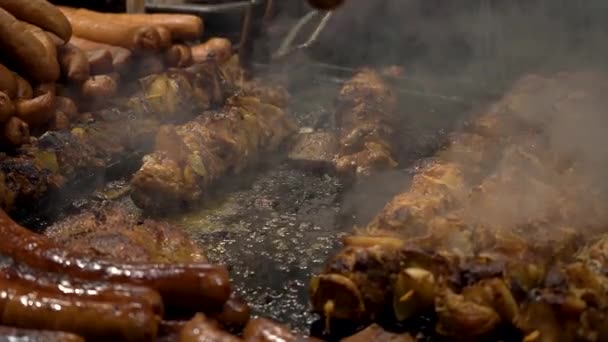 Close Madlavning Kebab Kød Pølser Bøf Grill Åben Ild Aftenen – Stock-video