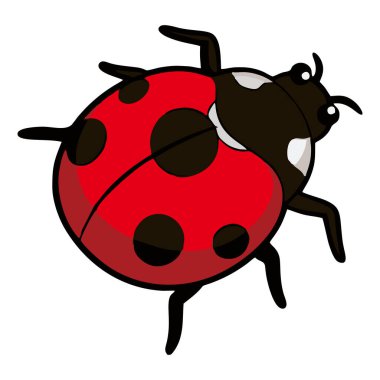 Cute cartoon ladybug. Simple beetle design illustration. Flat vector on a white background