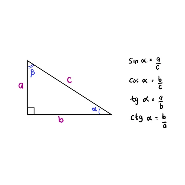 Alapvető Trigonometrikus Identitások Szinusz Koszinusz Tangens Kotangens Derékszögű Háromszög Kiszámításának — Stock Vector