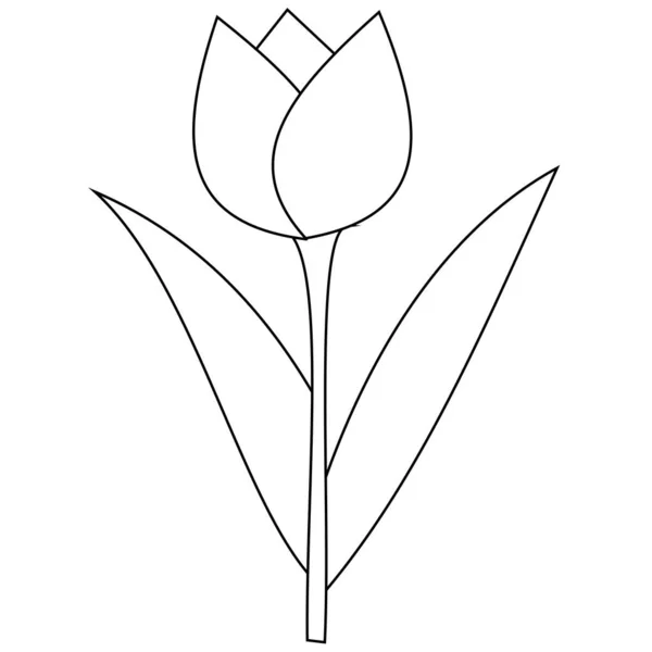 stock vector tulip coloring page. It is suitable for use in children's coloring books as well as a medium for introducing the shape of tulips using the coloring method