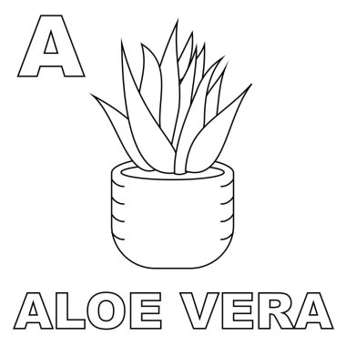 Aloe vera bitki boyama sayfası, çocuklara harfleri tanıtmak için büyük A ile. Çocuk boyama kitaplarına ve aloe vera bitkilerinin resimleriyle harf tanımaya uygun. Düzenlenebilir vektörler