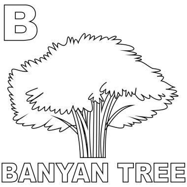 Banyan Ağacı boyama sayfası, çocuklara harfleri tanıtmak için büyük bir B ile. Çocuk boyama kitapları ve banyan ağaçları vasıtasıyla harflerin tanınması için uygun. Düzenlenebilir vektörler Bitki illüstrasyonu