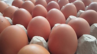 Süpermarketteki bir rafta plastik bir kutuda yumurtalar. Süpermarkette yumurta kutusunu kapat. Yumurtalar paketin içinde. Karton kutuda tavuk yumurtası