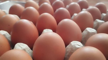 Süpermarketteki bir rafta plastik bir kutuda yumurtalar. Süpermarkette yumurta kutusunu kapat. Yumurtalar paketin içinde. Karton kutuda tavuk yumurtası