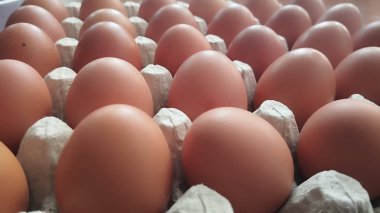 Süpermarketteki bir rafta plastik bir kutuda yumurtalar. Süpermarkette yumurta kutusunu kapat. Yumurtalar paketin içinde. Karton kutuda tavuk yumurtası