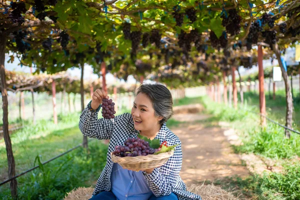 Farmers Present Farm Produce Sell Grapes Online Live Streaming Mobile — Stock Photo, Image
