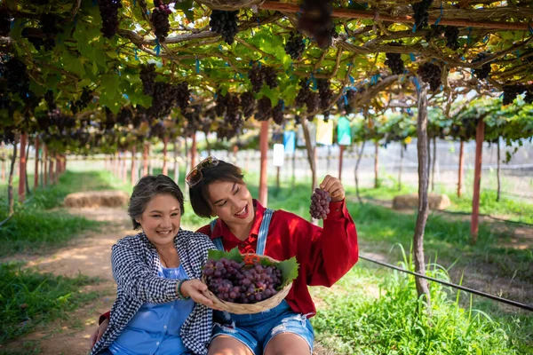 农民们通过手机直播 在网上销售农产品和葡萄 — 图库照片