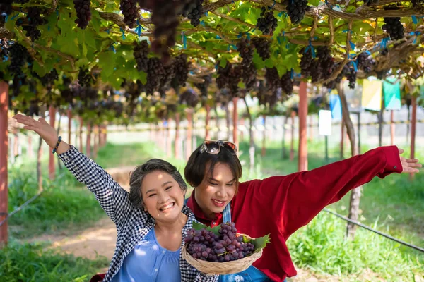 stock image Farmers present farm produce and sell grapes online by live streaming on their mobile phones.