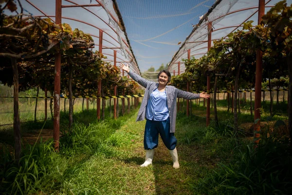 Owner Vineyard Taking Tourists Visit Vineyards — Stock Photo, Image