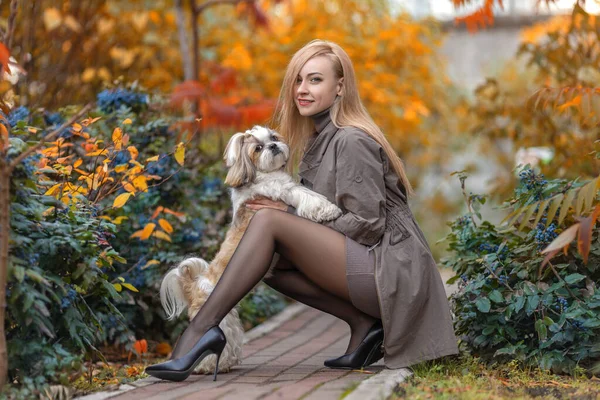 在秋天的公园里 一位穿着裤袜 腿完美的漂亮女人 在夕阳西下的灯光下 和一只可爱的石子犬坐在一起 — 图库照片