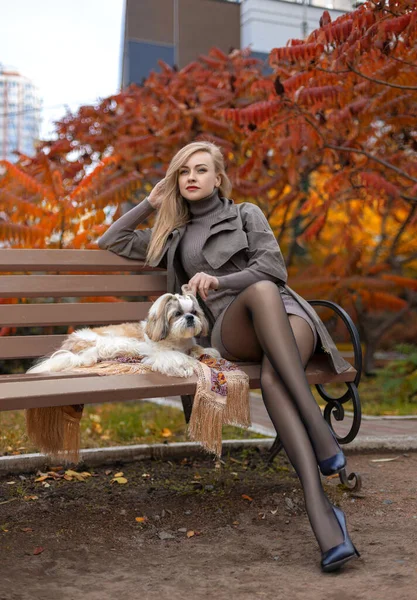 Красивая Женщина Идеальными Ногами Колготках Сидит Скамейке Осеннем Парке Милой — стоковое фото