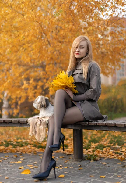 Hermosa Mujer Con Piernas Perfectas Pantimedias Sentado Banco Parque Otoño —  Fotos de Stock