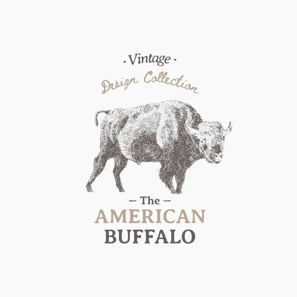 American Buffalo Realistic Drawing Sketch Vector Illustration — Stock Vector