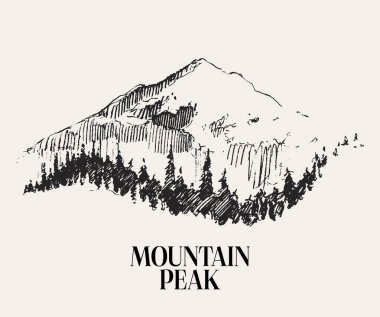 Beautiful landscape with mountain and spruce forest. Hand drawn vector illustration, sketch. Vector illustration clipart