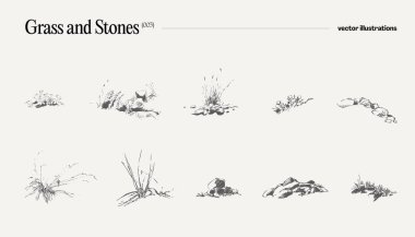 Çimlerin ve taşların vektör çizimi. Vektör illüstrasyonu