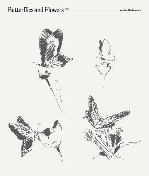 蝶のセット 現実的な描画 スケッチ ベクトルイラスト — ストックベクタ