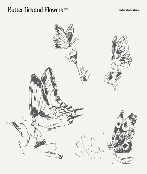 Schmetterlingsset Realistische Zeichnung Skizze Vektorillustration — Stockvektor