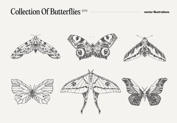 Schmetterlingsset Realistische Zeichnung Skizze Vektorillustration — Stockvektor