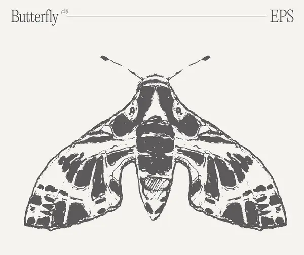 蝶をフィーチャーした素晴らしい黒と白の描画 重要な花粉虫昆虫と美しい翼を持つ絶妙な人類 — ストックベクタ
