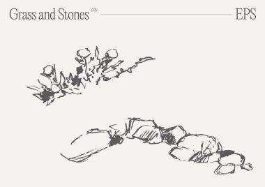 Monokromatik bir sanat eseri, el değmemiş beyaz bir zemin üzerinde çimen ve kayaların karmaşık ayrıntılı bir çizimini tasvir eder..