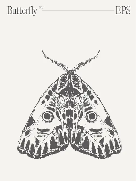 Impresionante Dibujo Blanco Negro Con Una Mariposa Insecto Polinizador Vital — Vector de stock