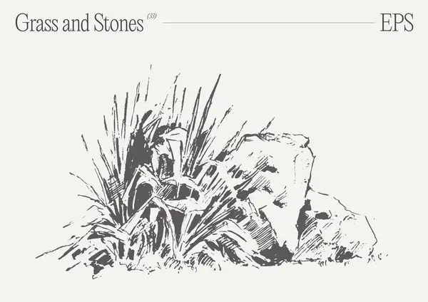 Monochromatic Artwork Depicts Intricately Detailed Illustration Grass Rocks Pristine White — Stock Vector