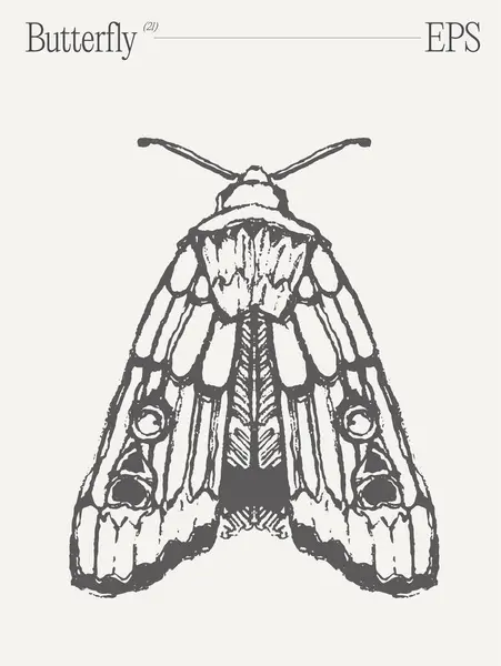 Oszałamiający Czarno Biały Rysunek Motylem Istotnym Owadem Zapylającym Wspaniałym Stawonogiem — Wektor stockowy