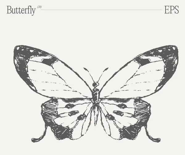 Eine Atemberaubende Schwarz Weiß Zeichnung Mit Einem Schmetterling Einem Vitalen — Stockvektor