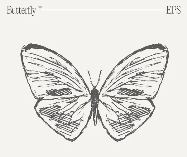 Impresionante Dibujo Blanco Negro Con Una Mariposa Insecto Polinizador Vital — Vector de stock